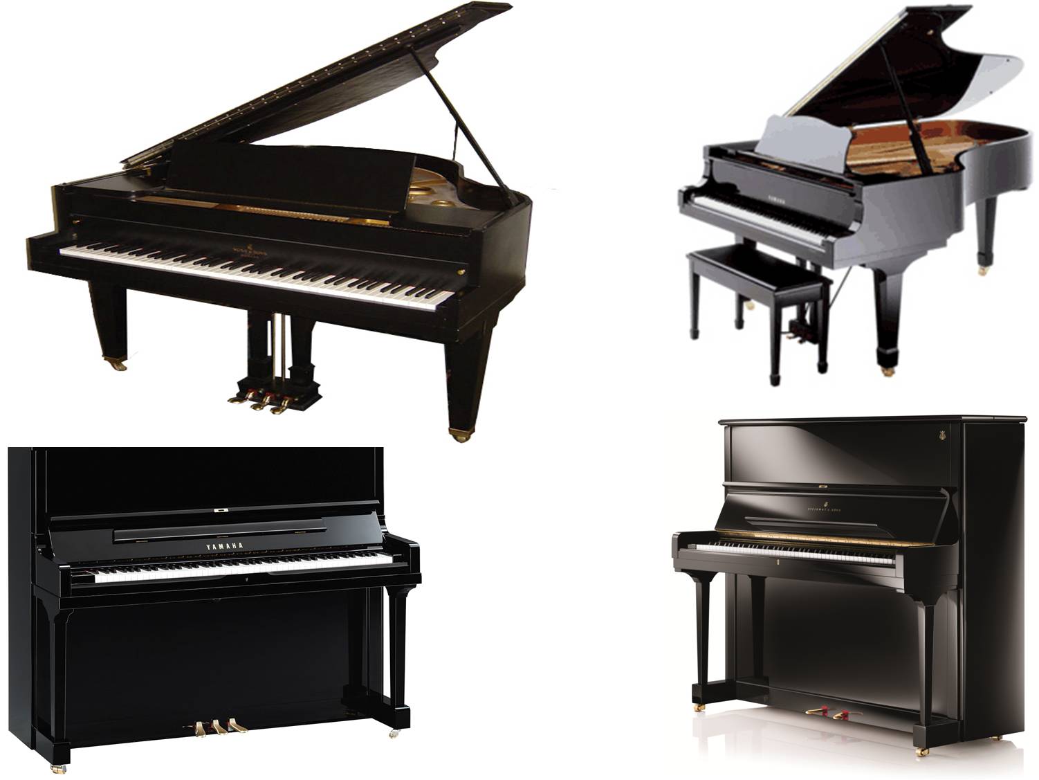 Grand Piano on rent in Mumbai
